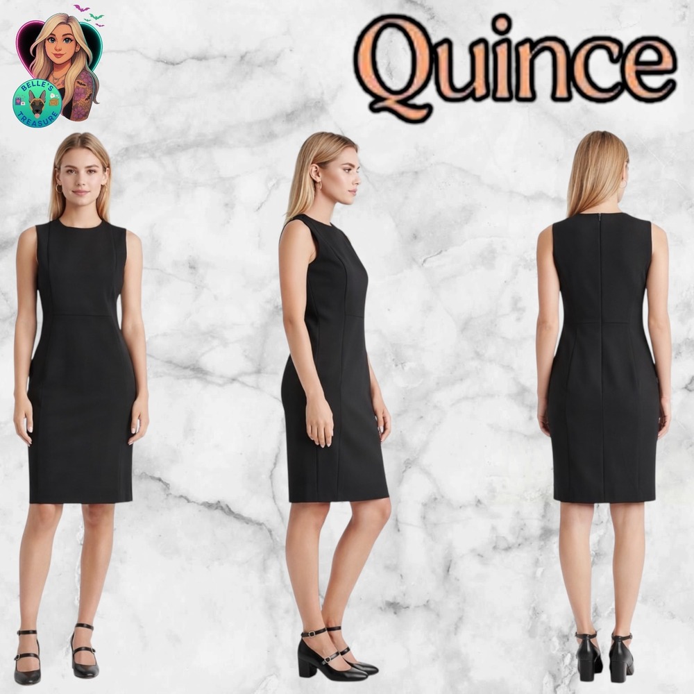 Quince Womens XS Ultra Stretch Ponte Sleeveless Dress Black Quiet Luxury Capsule